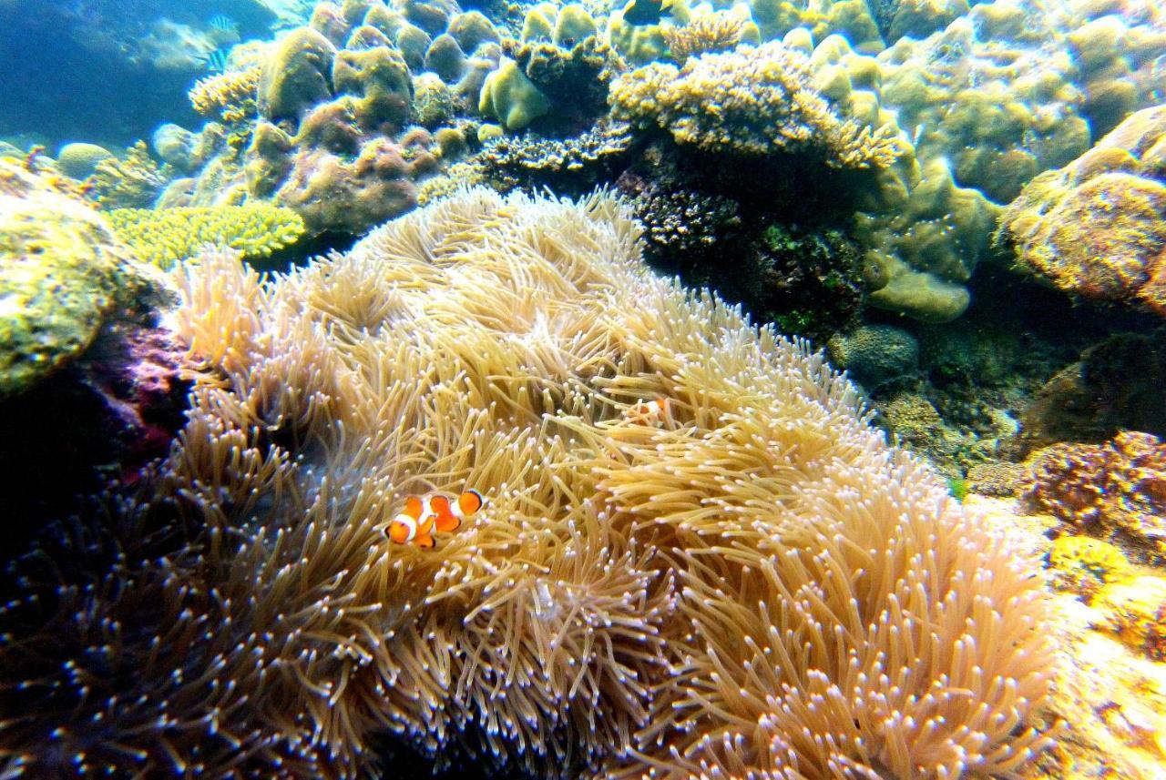 Arkadia Beach Resort Underground River Sabang  Exteriér fotografie